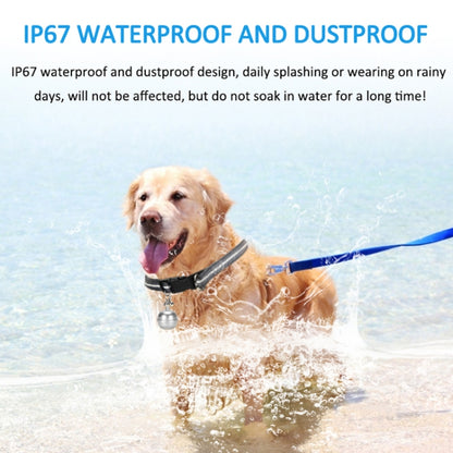 G15 2G IP67 Waterproof Pet GPS Tracker GPS + Beidou + AGPS + WiFi + Base Station Locator (Silver) - Pet Tracker by PMC Jewellery | Online Shopping South Africa | PMC Jewellery | Buy Now Pay Later Mobicred