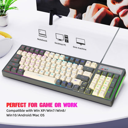 HXSJ V600 96-key RGB Backlit Dual-color Injection-molded Wired Gaming Keyboard - Wired Keyboard by HXSJ | Online Shopping South Africa | PMC Jewellery | Buy Now Pay Later Mobicred