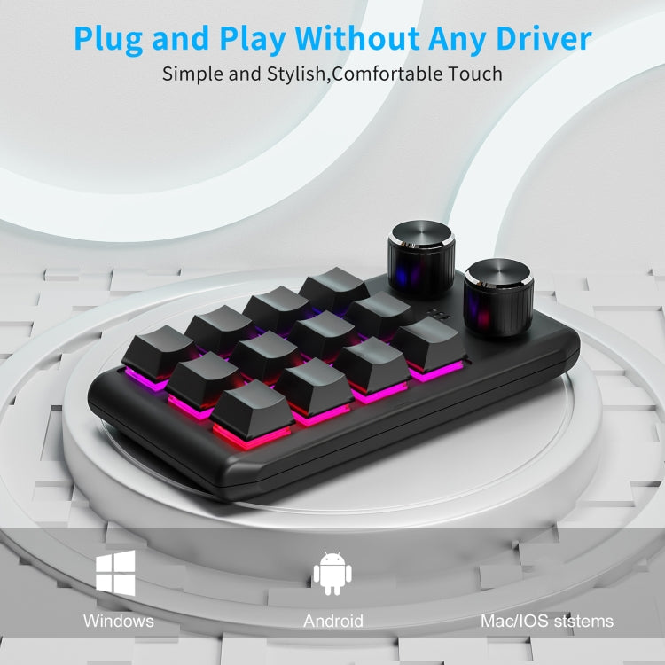 USB Wired 12KV2 MOLD Mini Mechanical 12 Keys 2 Knob Custom Programming Keyboard(Black) - Mini Keyboard by PMC Jewellery | Online Shopping South Africa | PMC Jewellery
