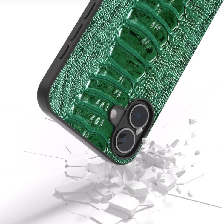 For iPhone 16 Plus ABEEL Genuine Leather Weilai Series Phone Case(Green) - iPhone 16 Plus Cases by PMC Jewellery | Online Shopping South Africa | PMC Jewellery | Buy Now Pay Later Mobicred