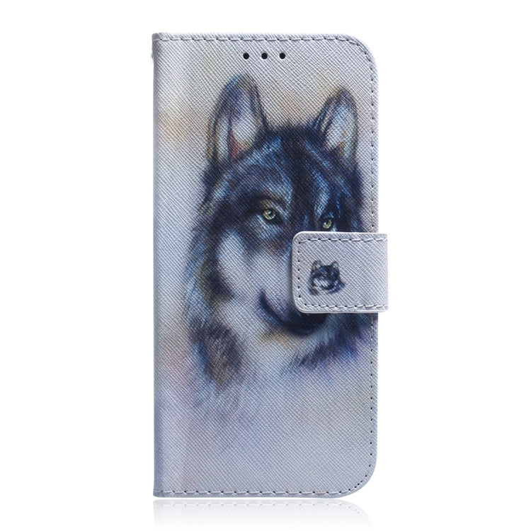 For iPhone 16 Pro Coloured Drawing Flip Leather Phone Case(White Wolf) - iPhone 16 Pro Cases by PMC TechLife | Online Shopping South Africa | PMC TechLife | Buy Now Pay Later Mobicred