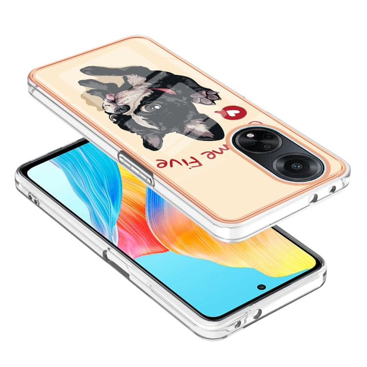 For OPPO A98 Electroplating Marble Dual-side IMD Phone Case(Lucky Dog) - OPPO Cases by PMC Jewellery | Online Shopping South Africa | PMC Jewellery | Buy Now Pay Later Mobicred