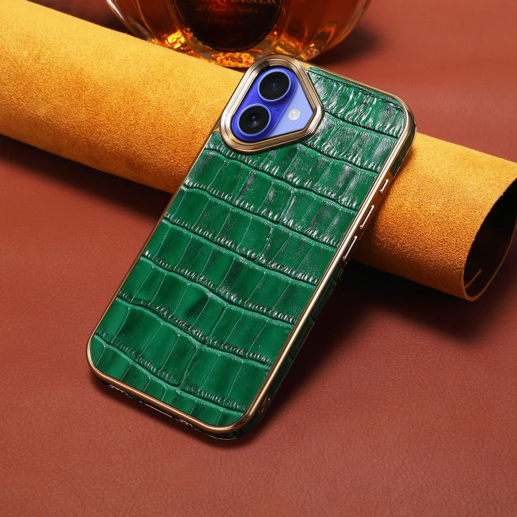 For iPhone 16 Plus Denior Crocodile Texture Genuine Leather Electroplating Phone Case(Green) - More iPhone Cases by Denior | Online Shopping South Africa | PMC Jewellery | Buy Now Pay Later Mobicred