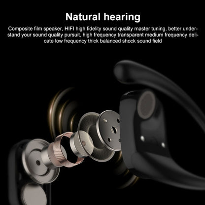 Langsdom TS19 Ear-mounted ENC Noise Reduction Wireless Bluetooth Earphone(Black) - Bluetooth Earphone by Langsdom | Online Shopping South Africa | PMC Jewellery | Buy Now Pay Later Mobicred