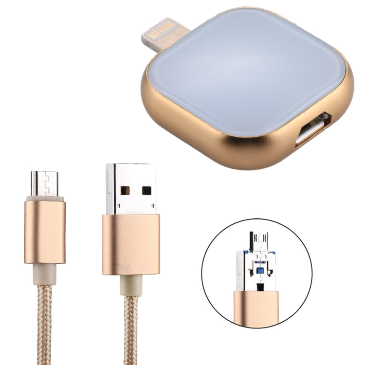 RQW-18S 8 Pin 32GB Multi-functional Flash Disk Drive with USB / Micro USB to Micro USB Cable(Gold) - U Disk & Card Reader by PMC Jewellery | Online Shopping South Africa | PMC Jewellery | Buy Now Pay Later Mobicred