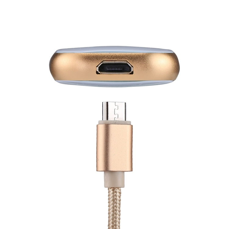 RQW-18S 8 Pin 32GB Multi-functional Flash Disk Drive with USB / Micro USB to Micro USB Cable(Gold) - U Disk & Card Reader by PMC Jewellery | Online Shopping South Africa | PMC Jewellery | Buy Now Pay Later Mobicred