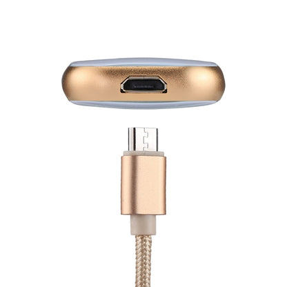 RQW-18S 8 Pin 128GB Multi-functional Flash Disk Drive with USB / Micro USB to Micro USB Cable(Gold) - U Disk & Card Reader by PMC Jewellery | Online Shopping South Africa | PMC Jewellery | Buy Now Pay Later Mobicred