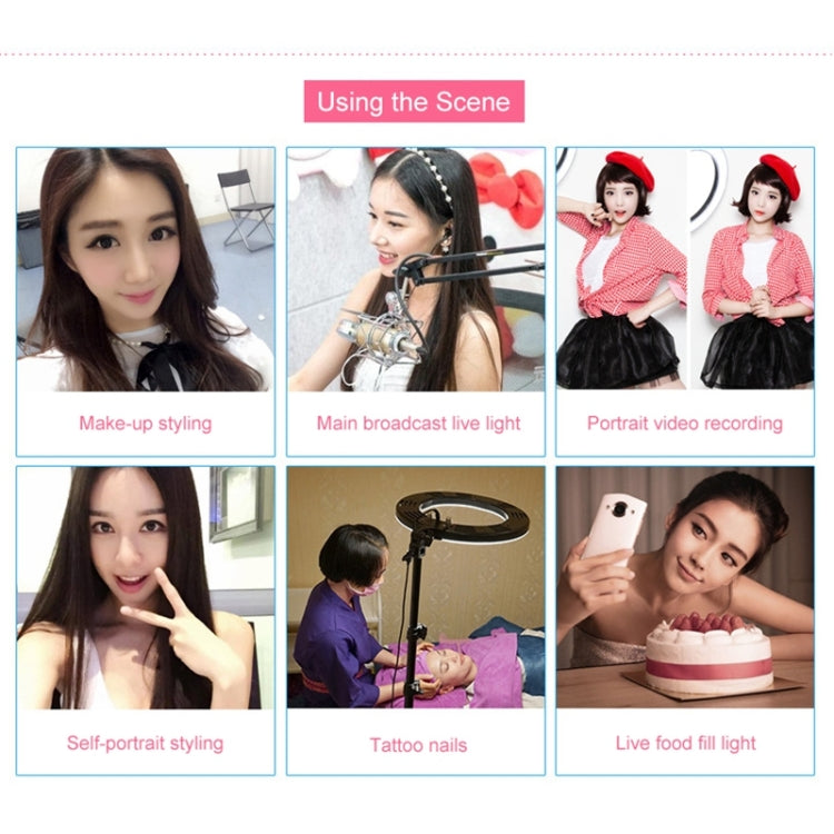 12 Inch Anchor Photography Self-timer LED Ring Fill-in Light - free shipping - PMC TechLife - Order now!