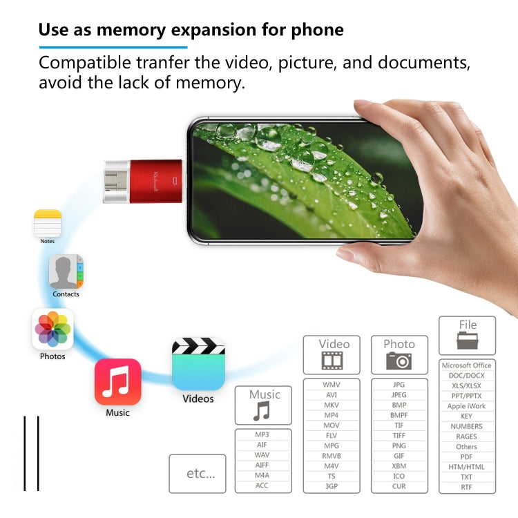 Richwell 3 in 1 128G Type-C + 8 Pin + USB 3.0 Metal Double Cover Push-pull Flash Disk with OTG Function(Black) - free shipping - PMC Jewellery - Order now!