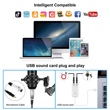 PULUZ Studio Broadcast Professional Singing Microphone Kits with Suspension Scissor Arm & Metal Shock Mount & USB Sound Card(Gold) - Microphone by PULUZ | Online Shopping South Africa | PMC Jewellery | Buy Now Pay Later Mobicred
