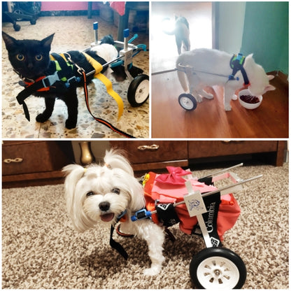 Pet Wheelchair Disabled Dog Old Dog Cat Assisted Walk Car Hind Leg Exercise Car For Dog/Cat Care, Size:S - Training Aids by PMC Jewellery | Online Shopping South Africa | PMC Jewellery | Buy Now Pay Later Mobicred
