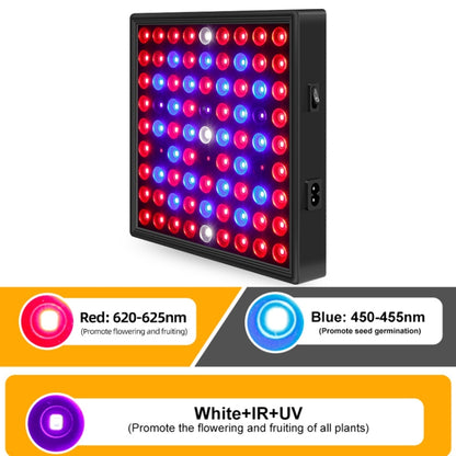 LED Plant Light Quantum Board Greenhouse Seedling Plant Growth Supplementary Light Full Spectrum Plant Planting Light, Power: 81 Beads EU Plug - LED Grow Lights by PMC Jewellery | Online Shopping South Africa | PMC Jewellery