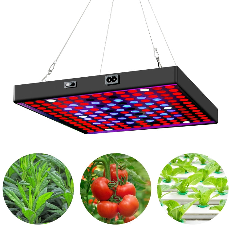 LED Plant Light Quantum Board Greenhouse Seedling Plant Growth Supplementary Light Full Spectrum Plant Planting Light, Power: 81 Beads EU Plug - LED Grow Lights by PMC Jewellery | Online Shopping South Africa | PMC Jewellery