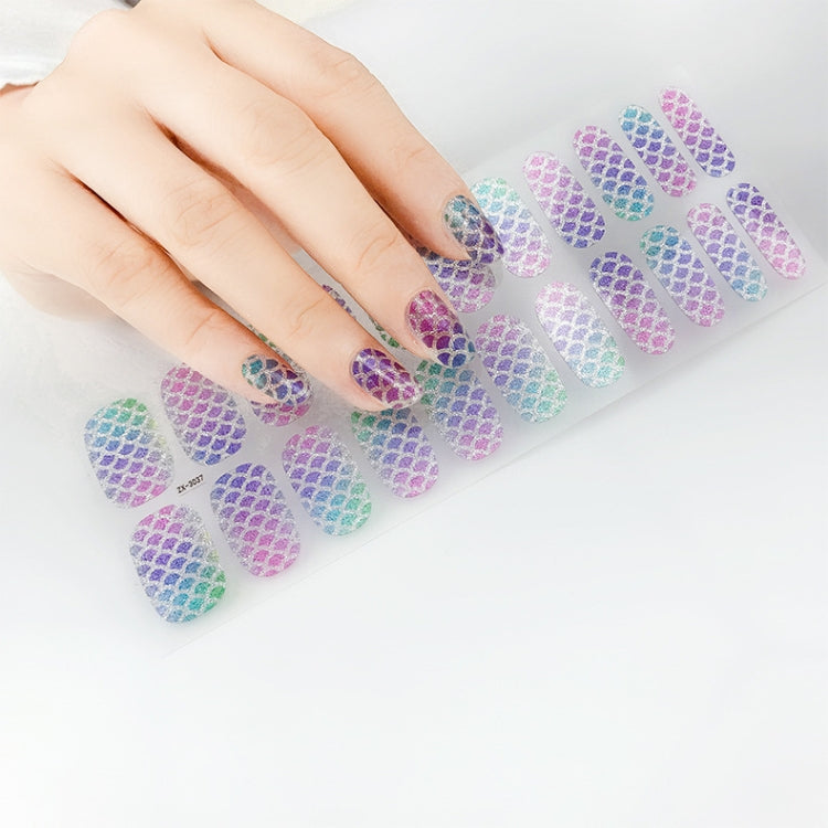 22 Fingers Shiny Onion Powder Starry Waterproof Nail Sticker(ZX-3032) - Nail Stickers by PMC Jewellery | Online Shopping South Africa | PMC Jewellery