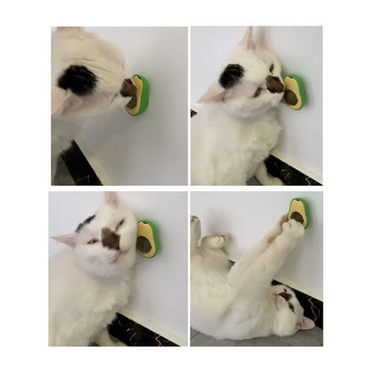 2 PCS Catnip Balls And Avocado Teasing Cat Teeth Cleaning Toy(Mint Ball) - Toys by PMC Jewellery | Online Shopping South Africa | PMC Jewellery