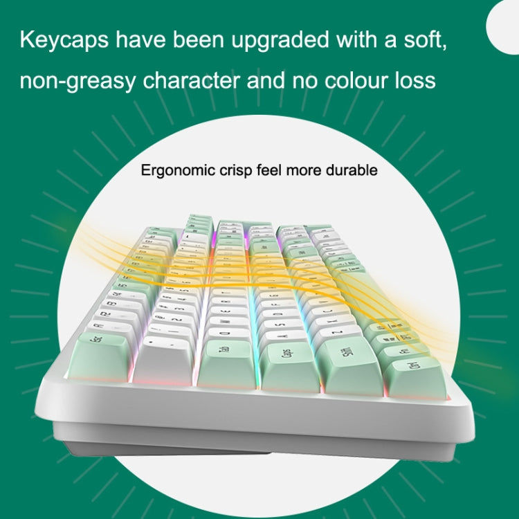 LANGTU GK102 102 Keys Hot Plugs Mechanical Wired Keyboard. Cable Length: 1.63m, Style: Gold Shaft (Matcha Green) - Wired Keyboard by LANGTU | Online Shopping South Africa | PMC Jewellery | Buy Now Pay Later Mobicred