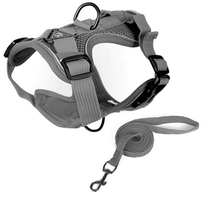 Pet Vest Harness + Traction Rope Set Reflective Breathable Dog Cat Harness, Size: S(Gray) - Leashes by PMC Jewellery | Online Shopping South Africa | PMC Jewellery