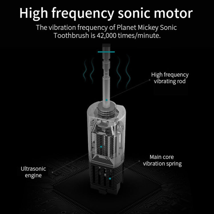 Rechargeable Ultrasonic Soft Bristle Electrical Toothbrushes Flosser 6 Gear With 4 Brushes(Black) - Toothbrushes by PMC TechLife | Online Shopping South Africa | PMC TechLife | Buy Now Pay Later Mobicred