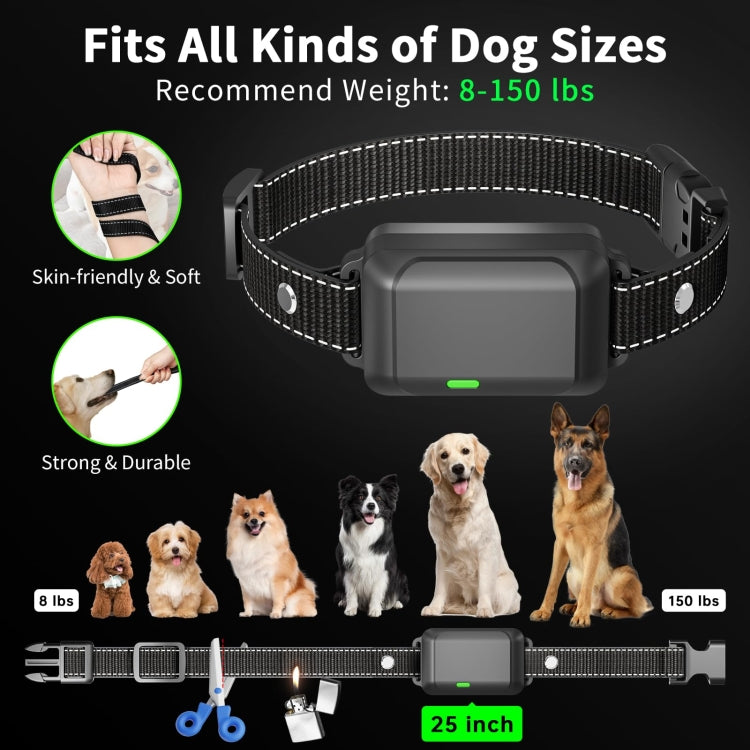 Color Screen Dragon Two Remote Control Pet Electric Shock Circular Dog Trainer(Black) - Training Aids by PMC Jewellery | Online Shopping South Africa | PMC Jewellery | Buy Now Pay Later Mobicred