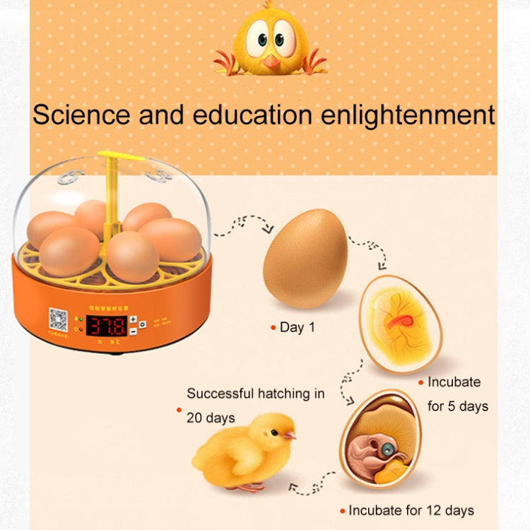 6-Eggs Small Household Experimental Children Smart Chicken Incubators, Spec: Manual US Plug - Incubators by PMC Jewellery | Online Shopping South Africa | PMC Jewellery