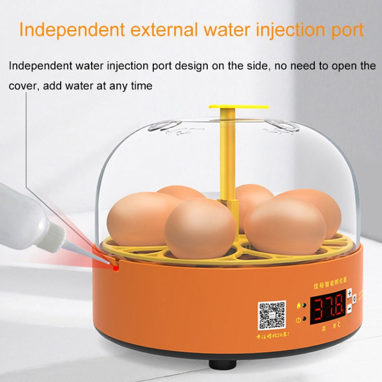 6-Eggs Small Household Experimental Children Smart Chicken Incubators, Spec: Manual US Plug - Incubators by PMC Jewellery | Online Shopping South Africa | PMC Jewellery