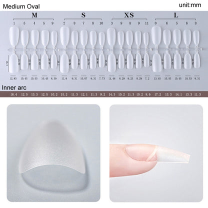 10pairs Of 100pcs/Box Frosted False Nails Artificial Tip, Shape: Short Ellipse XS - Nail Stickers by PMC Jewellery | Online Shopping South Africa | PMC Jewellery | Buy Now Pay Later Mobicred