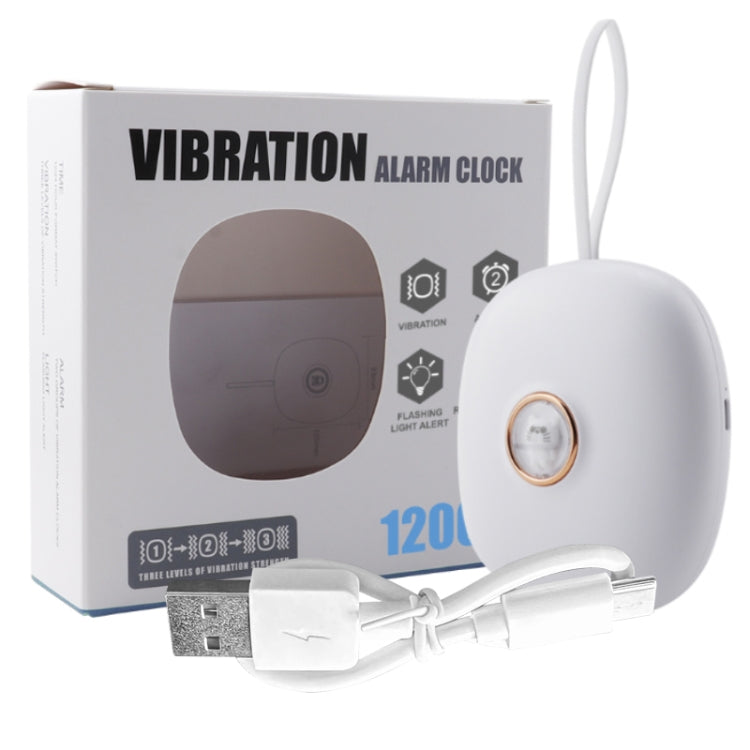 Silent Vibrating Alarm Clock with Multiple Functions for Hearing-impaired People(TS-BC680) - Novelty Clock by PMc TechLife | Online Shopping South Africa | PMc TechLife | Buy Now Pay Later Mobicred