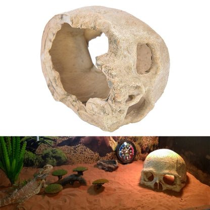 Fish Tank Aquarium Decoration Spider Lizard Snake Python Skull Breeding House Hiding Ornament(Bald Skull) - Reptile Supplies by PMC Jewellery | Online Shopping South Africa | PMC Jewellery