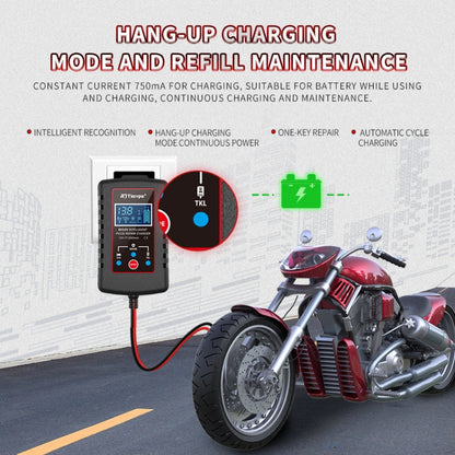 RJtianye 6V/12V ASE Adapter Cable Car Motorcycle Lawn Mower Battery Charger(US Plug) - Battery Charger by RJtianye | Online Shopping South Africa | PMC Jewellery | Buy Now Pay Later Mobicred