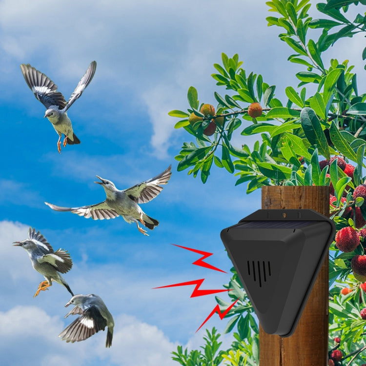 N911Q Solar Bird Repeller Orchard And Fish Pond Animal Repellent(Black) - Outdoor Insect Repellent by PMC Jewellery | Online Shopping South Africa | PMC Jewellery | Buy Now Pay Later Mobicred