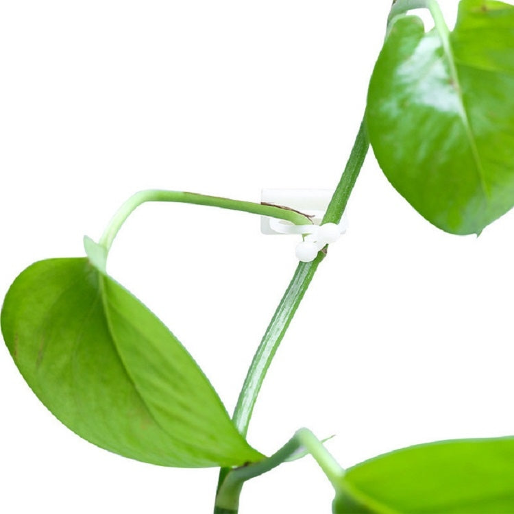 10 PCS Lulu Climbing Wall Fixer Vine Climbing Wall Sticking Hook, Size:Small(White) - free shipping - PMC TechLife - Order now!