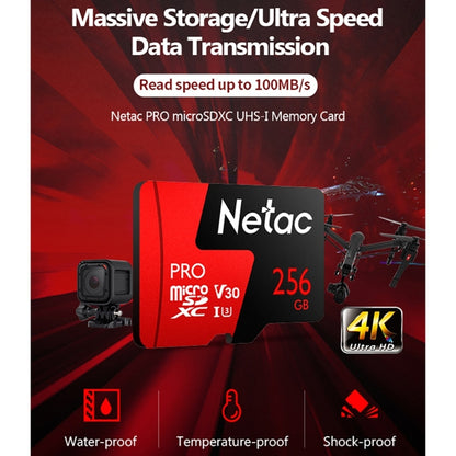 Netac P500 PRO 256GB U3 Speed Level Automobile Data Recorder Monitor Camera Memory Card TF Card - Micro SD Card by Netac | Online Shopping South Africa | PMC Jewellery | Buy Now Pay Later Mobicred