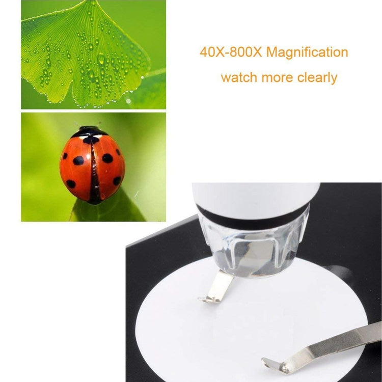 DMS-MDS800 40X-800X Magnifier 2.0MP Image Sensor USB Digital Microscope with 8 LEDs & Professional Stand - free shipping - PMC TechLife - Order now!