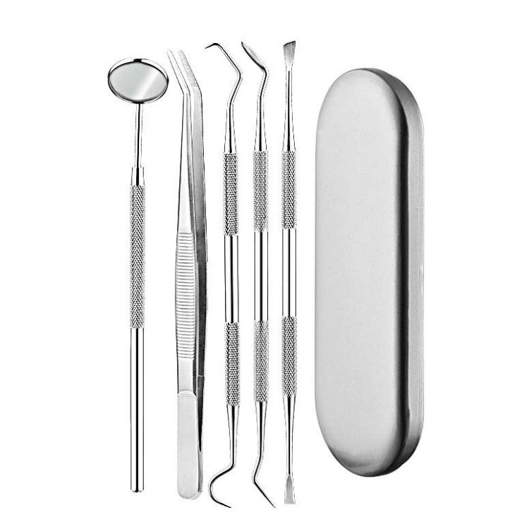 5 in 1 Silver Box Stainless Steel Dental Tools Dental Care Tartar Tool Dentist Tool Set - Dental Tools by PMC Jewellery | Online Shopping South Africa | PMC Jewellery