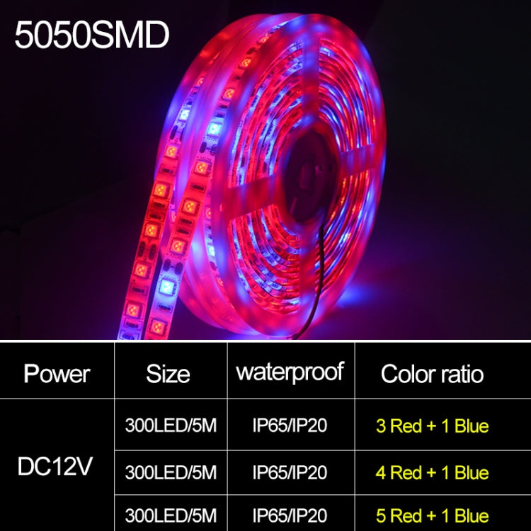 5m 300 LEDs SMD 5050 Full Spectrum LED Strip Light Fitolampy Grow Lights for Greenhouse Hydroponic Plant Waterproof(5 Red 1 Blue) - LED Grow Lights by PMC Jewellery | Online Shopping South Africa | PMC Jewellery