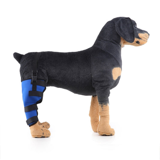 HJ19 Pet Surgery Rehabilitation Back Leg Protector Walking Aids, Size: M(Blue Right Back Leg) - Pet Care by PMC Jewellery | Online Shopping South Africa | PMC Jewellery